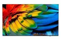 Philips 75HFL6214U/12