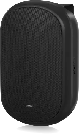 Купить Tannoy DVS 601 по выгодной цене в Казани