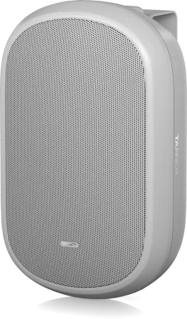 Купить Tannoy DVS 401-WH по выгодной цене в Казани