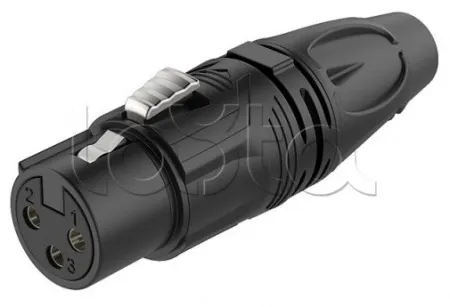 Купить ROXTONE RX3F-BT по выгодной цене в Казани