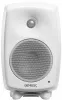 Купить Genelec 8030CW по выгодной цене в Казани
