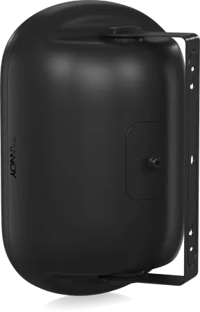 Купить Tannoy DVS 801 по выгодной цене в Казани