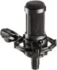Купить Audio-Technica AT2035 по выгодной цене в Казани