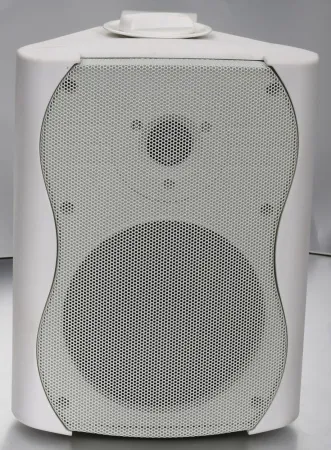 Купить SVS Audiotechnik WS-40 White по выгодной цене в Казани