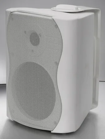 Купить SVS Audiotechnik WS-20 White по выгодной цене в Казани