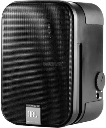 Купить JBL Control 2P/230 по выгодной цене в Казани