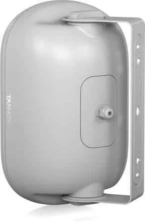 Купить Tannoy DVS 401-WH по выгодной цене в Казани