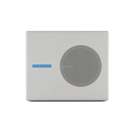 CVGaudio SUBone model A-6W2-1200x1200