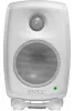 Купить Genelec 8010AW по выгодной цене в Казани