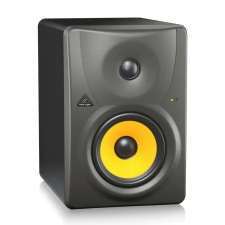 BEHRINGER B1031A BEHRINGER B1031A