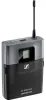 SENNHEISER SK-XSW-A