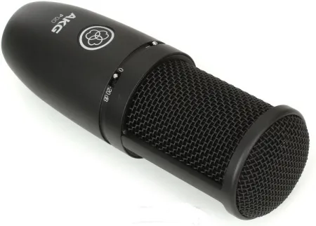 AKG P120