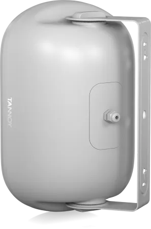 Купить Tannoy DVS 601-WH по выгодной цене в Казани