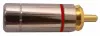 INVOTONE RCA500M/RD