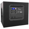 Купить ELECTRO-VOICE ELX200-12SP по выгодной цене в Казани