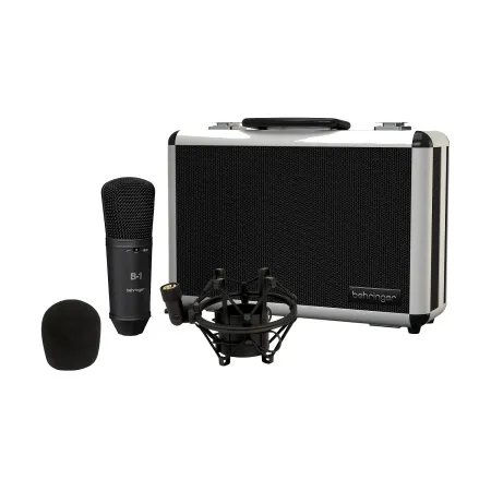 Купить BEHRINGER B-1 DARK EDITION по выгодной цене в Казани