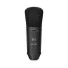 Купить BEHRINGER B-1 DARK EDITION по выгодной цене в Казани