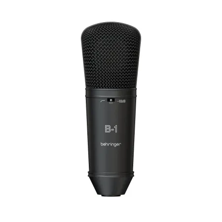 Купить BEHRINGER B-1 DARK EDITION по выгодной цене в Казани
