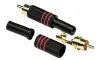 INVOTONE RCA200M/RD