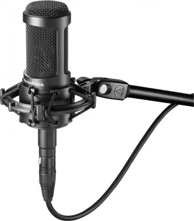 Купить Audio-Technica AT2035 по выгодной цене в Казани