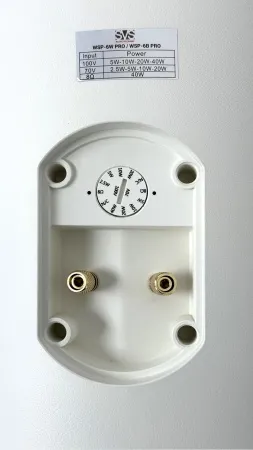 SVS Audiotechnik WSP-6W Pro