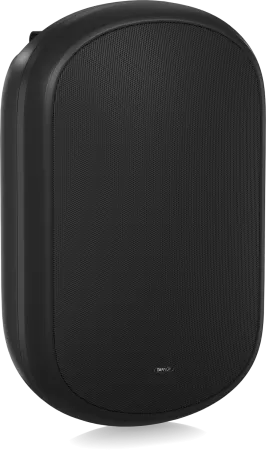 Купить Tannoy DVS 801 по выгодной цене в Казани