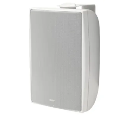 Купить TANNOY DVS 6 по выгодной цене в Казани