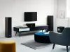 Купить DALI GRILLE SPEKTOR 6 BLACK по выгодной цене в Казани