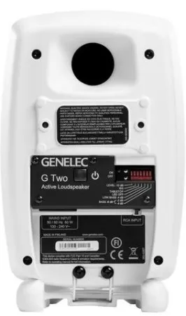 Купить Genelec G Two BWM по выгодной цене в Казани