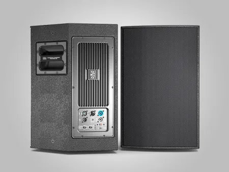 Купить SVS Audiotechnik R10A по выгодной цене в Казани