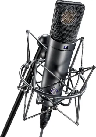 Купить NEUMANN U 89 i по выгодной цене в Казани