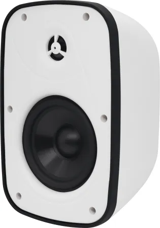 Купить SVS Audiotechnik PAF-6W PRO по выгодной цене в Казани
