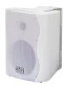 Купить SVS Audiotechnik WS-30 White по выгодной цене в Казани