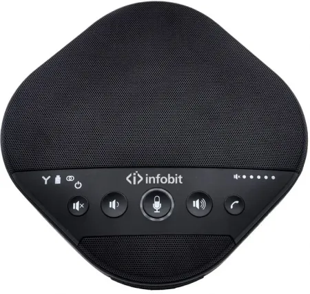 Купить Infobit iSpeaker M600 по выгодной цене в Казани