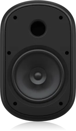 Купить Tannoy DVS 801 по выгодной цене в Казани