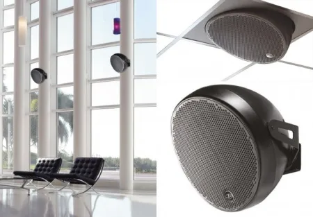 Купить DAS Audio OVI 12 по выгодной цене в Казани