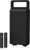 Купить BEHRINGER C-2 DARK EDITION по выгодной цене в Казани