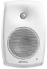 Купить Genelec 4430AW по выгодной цене в Казани