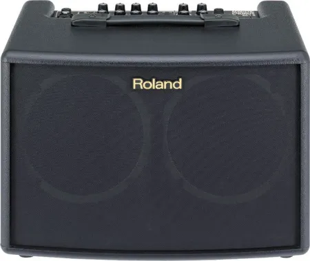 Купить ROLAND AC-60 по выгодной цене в Казани