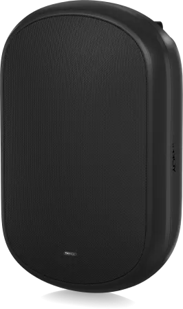 Купить Tannoy DVS 801 по выгодной цене в Казани