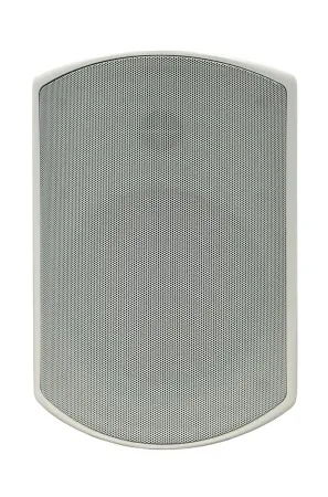 SVS Audiotechnik WSP-6W Pro