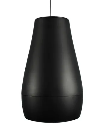 Купить BIAMP Desono P6 Black по выгодной цене в Казани
