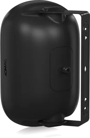 Купить Tannoy DVS 401 по выгодной цене в Казани