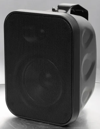 Купить SVS Audiotechnik WSP-40 Black по выгодной цене в Казани