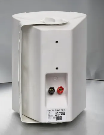 Купить SVS Audiotechnik WS-20 White по выгодной цене в Казани