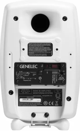 Купить Genelec 8030CW по выгодной цене в Казани