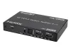 Купить iconBIT HS-2505 по выгодной цене в Казани