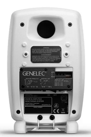 Купить Genelec 8020DWM по выгодной цене в Казани