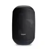 Купить BIAMP MASK6CT-BL по выгодной цене в Казани