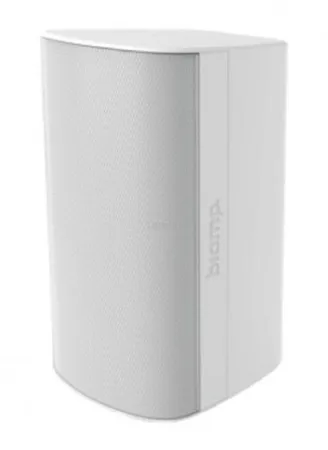 sabvufer_10_dyuymov_poverkhnostnyy_montazh_dlya_vnutrennego_ulichnogo_montazha_8_om_v_komplekte_u_ob